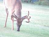 S7300 & S7304 Sandusky Road - Photo 87