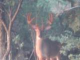 S7304 Sandusky Road - Photo 23