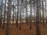 2ac Cree Road - Photo 5