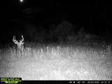 44+/- Acres 14th Road - Photo 13