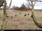 44+/- Acres 14th Road - Photo 15