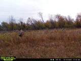 44+/- Acres 14th Road - Photo 27