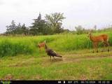 44+/- Acres 14th Road - Photo 9