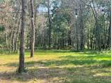 841 & 847 Sterling Road - Photo 8