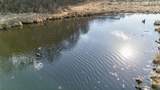 271.18 acres Zwettler/Foster Road - Photo 33