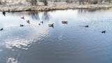 271.18 acres Zwettler/Foster Road - Photo 36