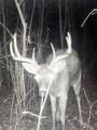 271.18 acres Zwettler/Foster Road - Photo 41