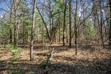 Lot 3 Morros Mile Road - Photo 11