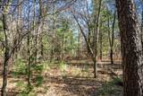 Lot 3 Morros Mile Road - Photo 12