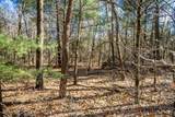 Lot 3 Morros Mile Road - Photo 17