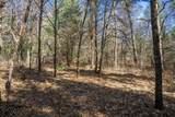 Lot 3 Morros Mile Road - Photo 19