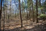Lot 3 Morros Mile Road - Photo 20