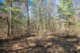 Lot 3 Morros Mile Road - Photo 21