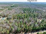 Lot 3 Morros Mile Road - Photo 29
