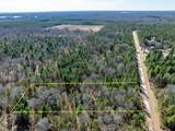 Lot 3 Morros Mile Road - Photo 7