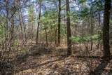 Lot 3 Morros Mile Road - Photo 9