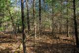 Lot 4 Morros Mile Road - Photo 10