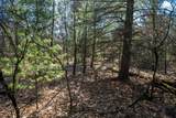 Lot 4 Morros Mile Road - Photo 11