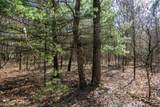 Lot 4 Morros Mile Road - Photo 12