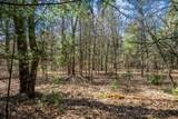 Lot 4 Morros Mile Road - Photo 13