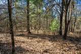 Lot 4 Morros Mile Road - Photo 16