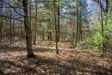 Lot 4 Morros Mile Road - Photo 17