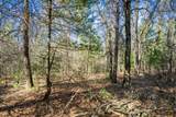 Lot 4 Morros Mile Road - Photo 19