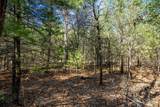 Lot 4 Morros Mile Road - Photo 2
