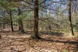 Lot 4 Morros Mile Road - Photo 20