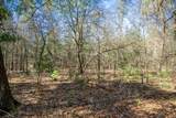 Lot 4 Morros Mile Road - Photo 22