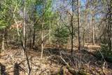 Lot 4 Morros Mile Road - Photo 28
