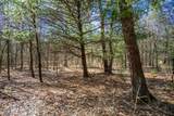 Lot 4 Morros Mile Road - Photo 3