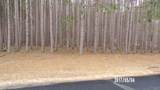 246 Winchester Road - Photo 1