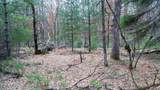 Lot 3 +/- 87 Ac Dover Drive - Photo 12