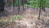 Lot 3 +/- 87 Ac Dover Drive - Photo 14