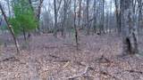 Lot 3 +/- 87 Ac Dover Drive - Photo 15