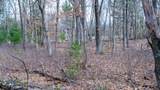 Lot 3 +/- 87 Ac Dover Drive - Photo 16