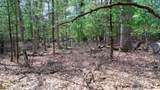 Lot 3 +/- 87 Ac Dover Drive - Photo 19