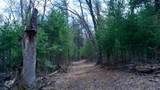Lot 3 +/- 87 Ac Dover Drive - Photo 24