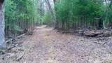Lot 3 +/- 87 Ac Dover Drive - Photo 25