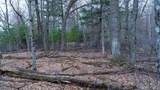 Lot 3 +/- 87 Ac Dover Drive - Photo 29