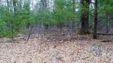 Lot 3 +/- 87 Ac Dover Drive - Photo 31