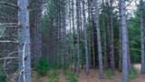 Lot 3 +/- 87 Ac Dover Drive - Photo 35