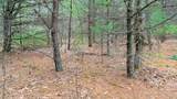 Lot 3 +/- 87 Ac Dover Drive - Photo 4