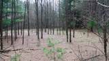 Lot 3 +/- 87 Ac Dover Drive - Photo 7