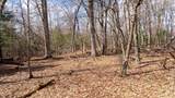 Lot 4 +/- 111Ac Dover Drive - Photo 11