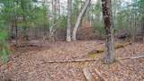 Lot 4 +/- 111Ac Dover Drive - Photo 12