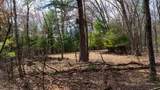 Lot 4 +/- 111Ac Dover Drive - Photo 19