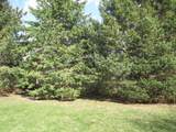 1344 Silver Drive - Photo 3