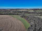 229.98&Acirc;&plusmn; Acres Whitcomb Lane - Photo 15